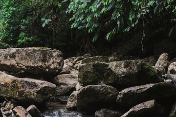 Ecotours