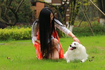 Pet-friendly
