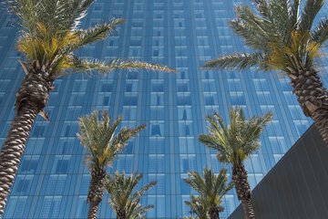 Terrace/Patio 130 of 133