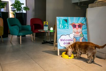 Pet-friendly