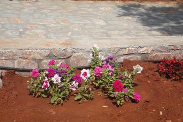 Photo 27