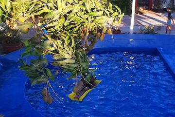 Photo 27