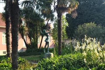 Photo 45