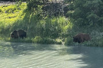 Game viewing