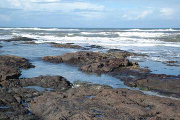 Photo 37