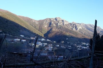 Mountain view