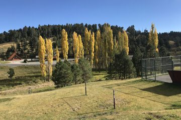 Land view from property