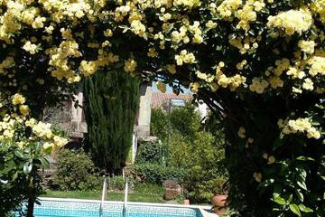 Photo 49