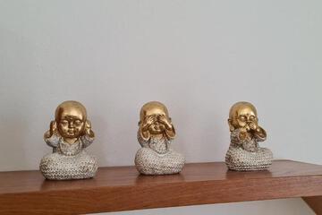 Photo 51