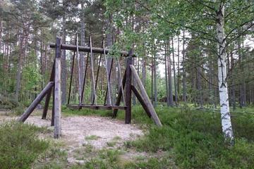 Photo 55
