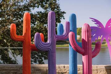 Outdoor wedding area