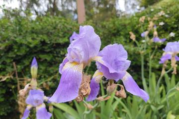 Photo 27