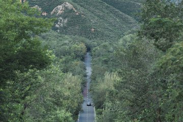 Ecotours