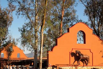 Horseback riding