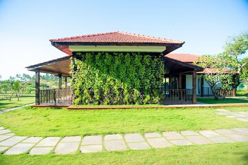 Garden view