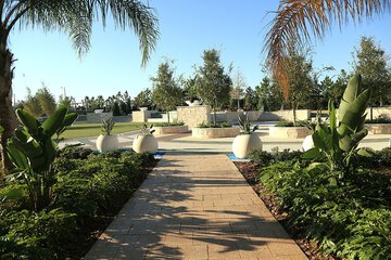 Outdoor wedding area