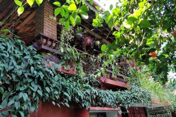 Photo 46