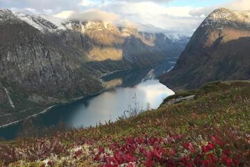 Photo 10
