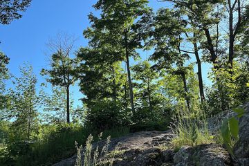 Hiking