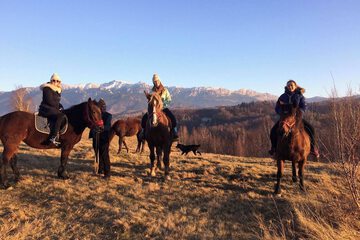 Horseback riding