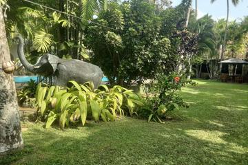 Photo 46