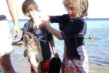 Photo 42