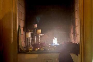 Photo 28
