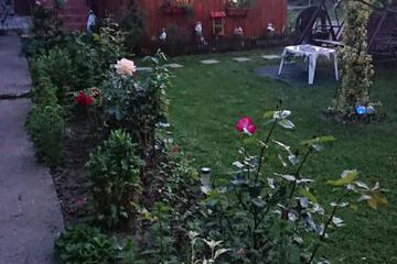 Photo 28