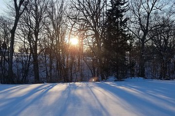 Land view from property