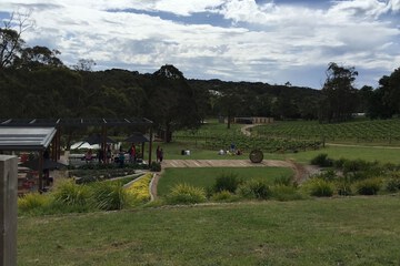 Tasting room