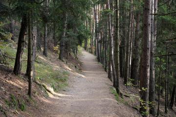 Photo 34