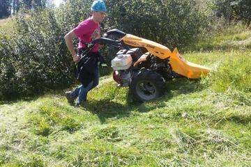 Photo 43