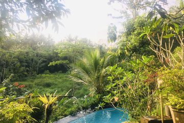 Natural pool