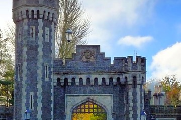 Photo 20