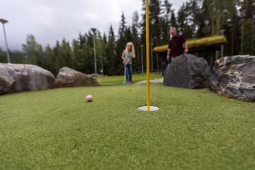Mini-golf