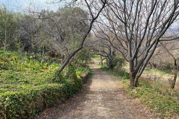 Photo 24