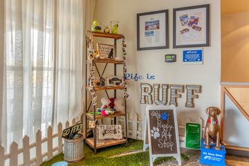 Pet Friendly 84 of 90