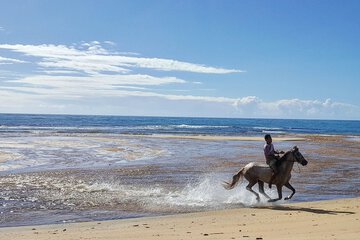 Horseback riding