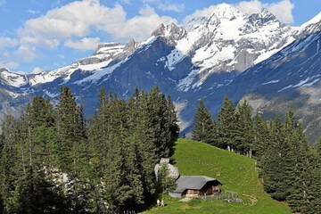 Land view from property