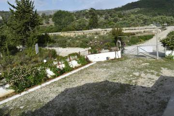 Photo 44