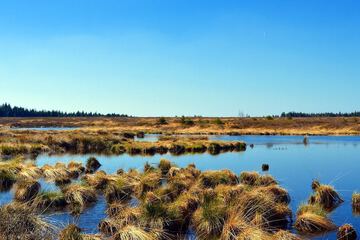Land view from property