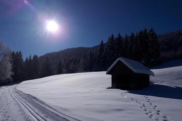 Photo 46