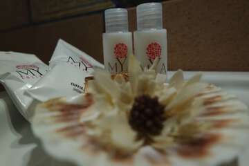 Bathroom amenities