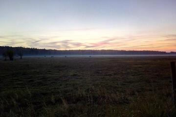 Photo 53