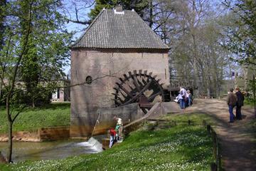 Photo 17