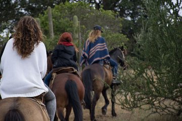 Horseback riding