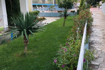 Photo 46
