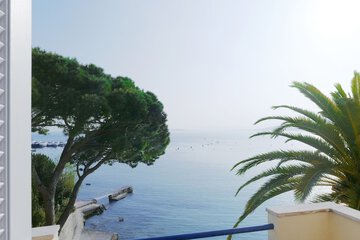 View from room