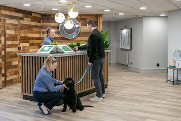 Pet-friendly
