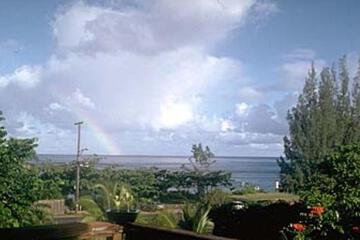 Photo 49